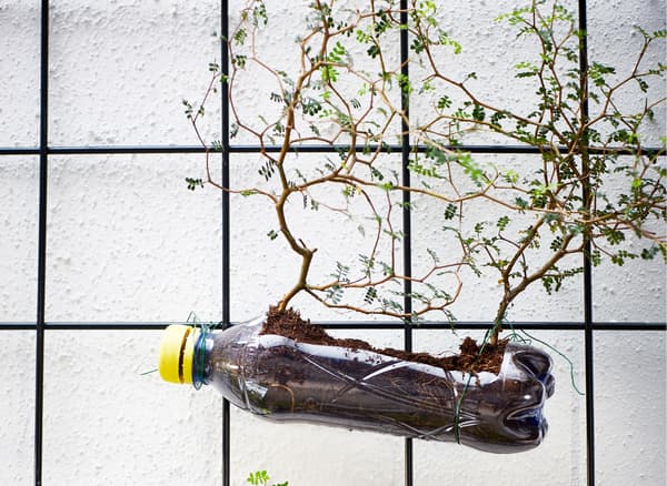Plastic soda bottles are attached to wire trellises with wire and filled with soil to grow plants.