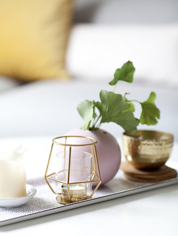 Plateau avec bougeoirs, vases et boutures.
