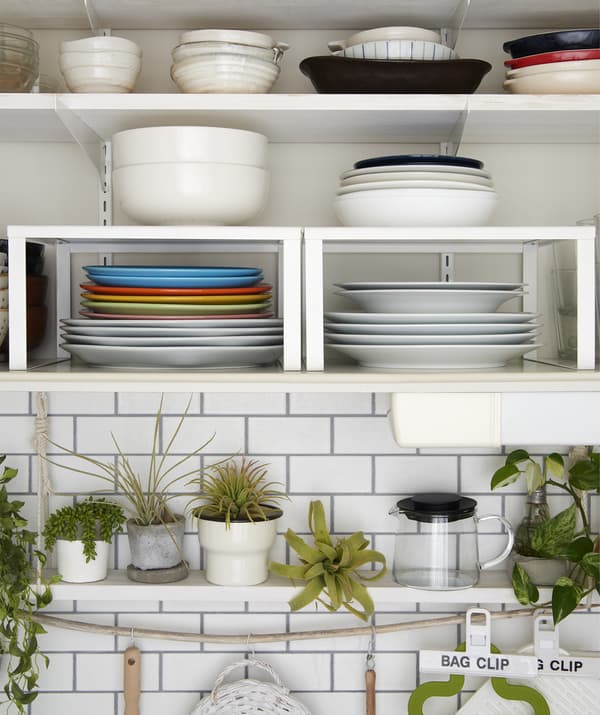 Plats empilés sur des tablettes et des demi-étagères et plus bas, rangée de plantes vertes disposées sur une tablette.