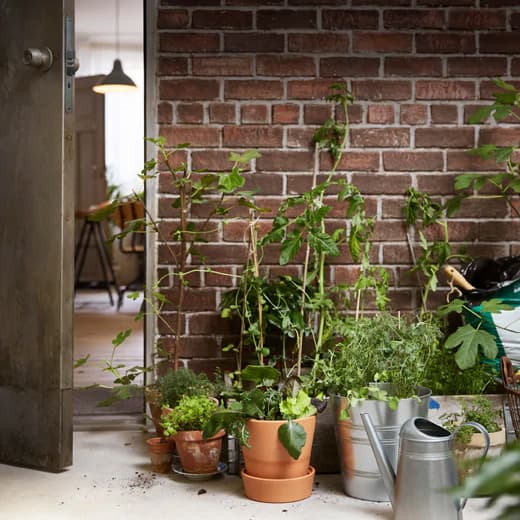 Plusieurs plantes en pot posées sur le sol, contre un mur de briques, à l’extérieur d’une maison. L’arrosoir se trouve à proximité des cache-pots SOCKER, qui accueillent des plantes.