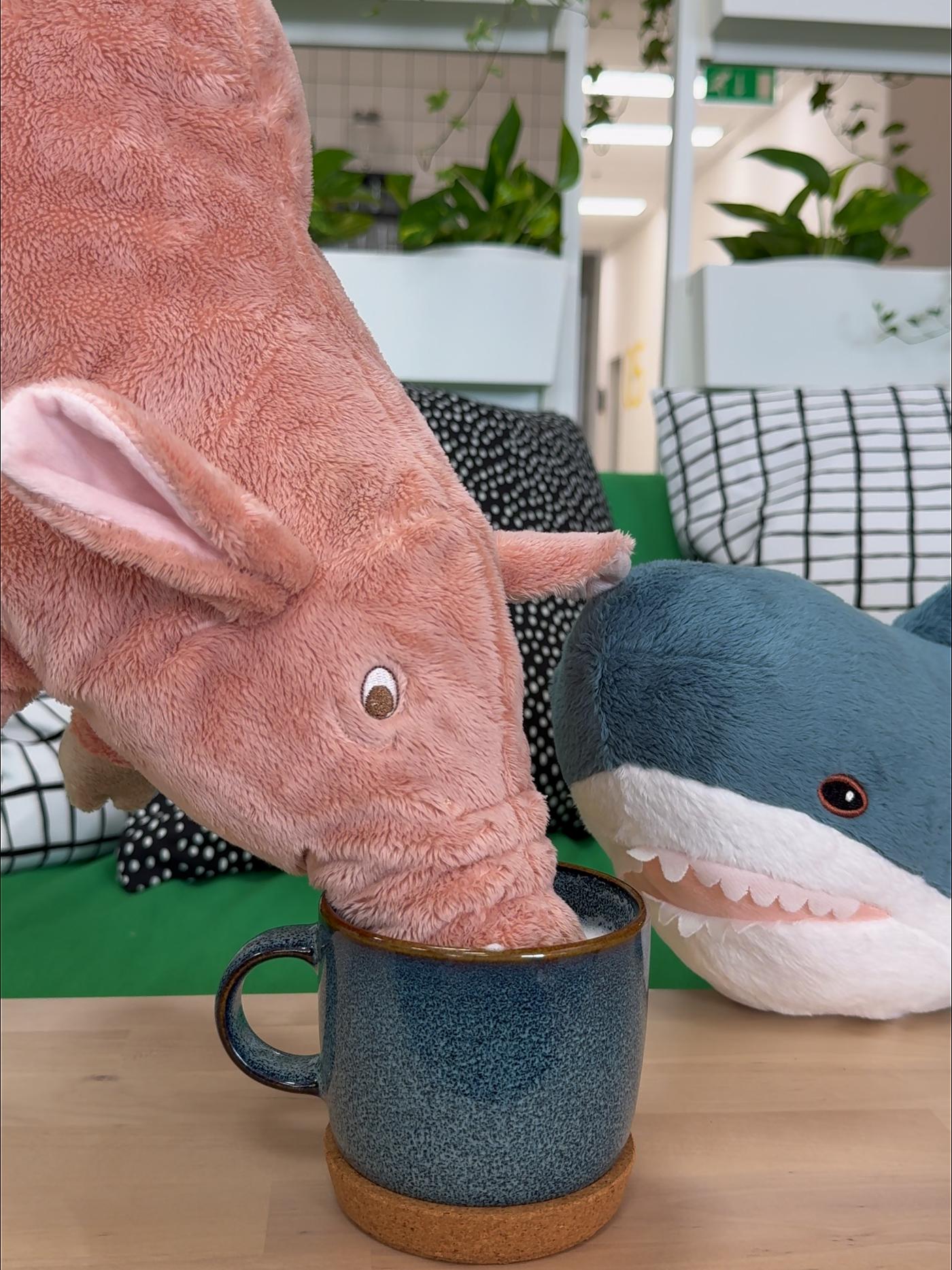 Plyšové hračky prasátko a žralok.