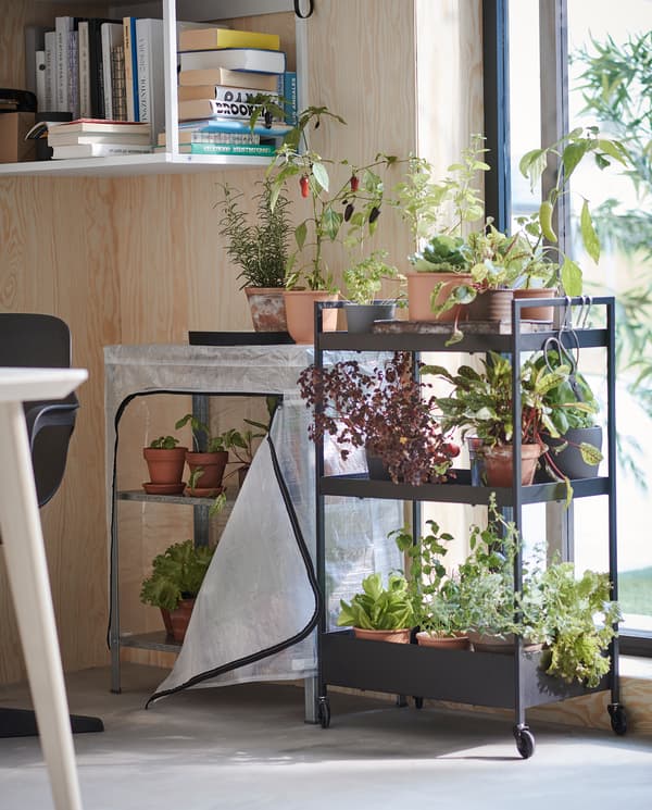 Pokraj prozora nalaze se crna kolica na kotačima s tri police na kojima se nalaze brojne tegle sa začinskim biljem i povrćem.