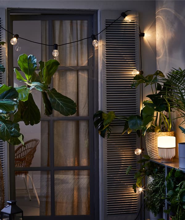 Porta de varanda, vista do exterior, à noite, com portadas, rodeada de várias plantas, com um sistema de iluminação e um candeeiro LED.