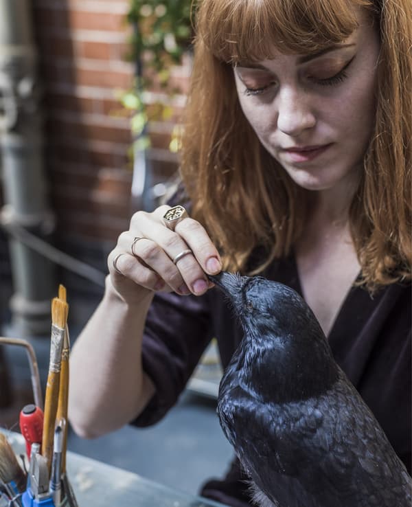 Portrait of Hannah working on a taxidermy piece.