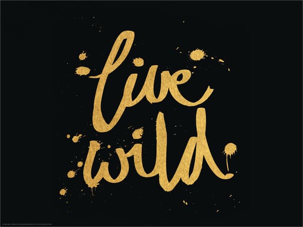 Poster met inspirerende tekst erop: Live wild. Om niet te vergeten. 