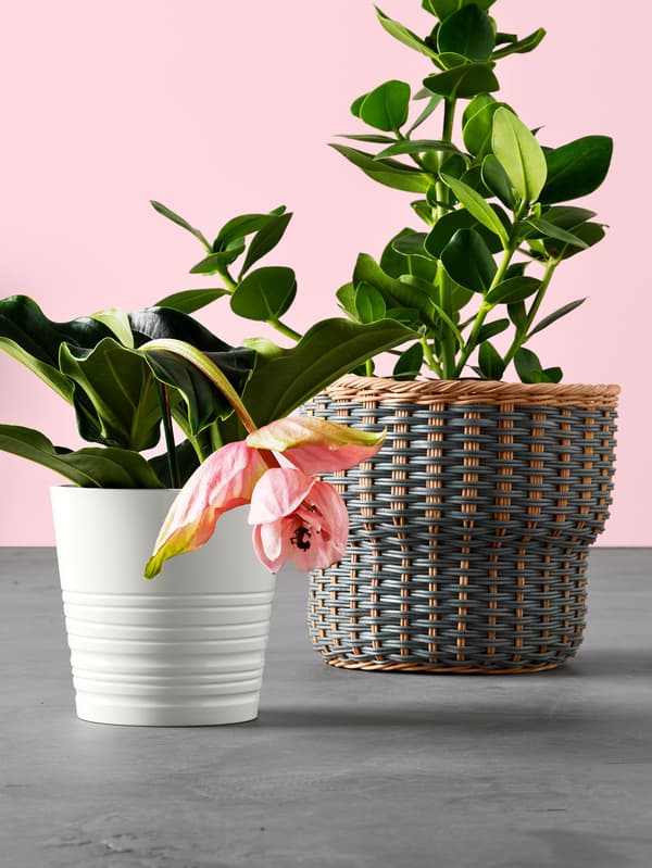 Pots