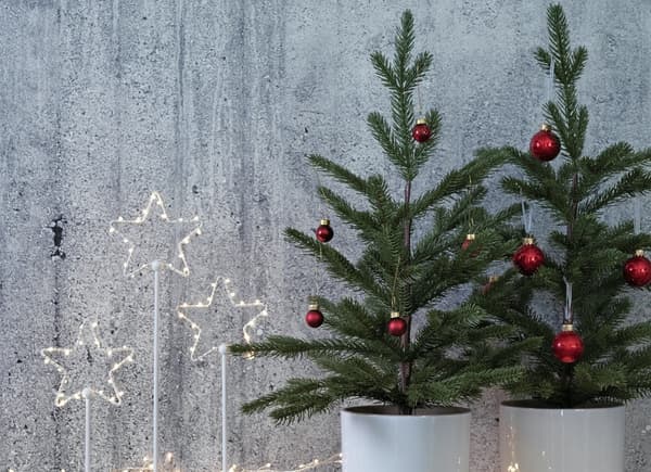 Preparar la casa para Navidad sin gastar mucho 