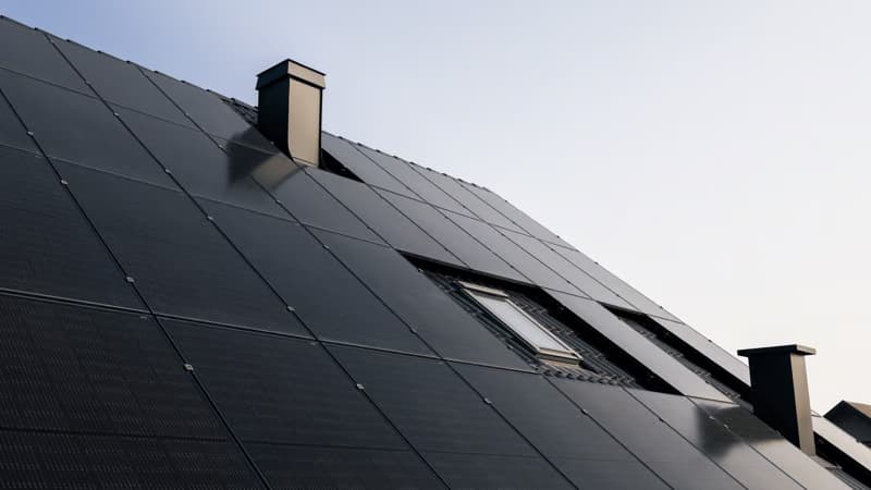 Descubre cómo se enfrenta IKEA al cambio climático