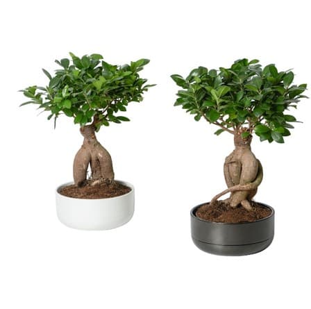 Produit IKEA.