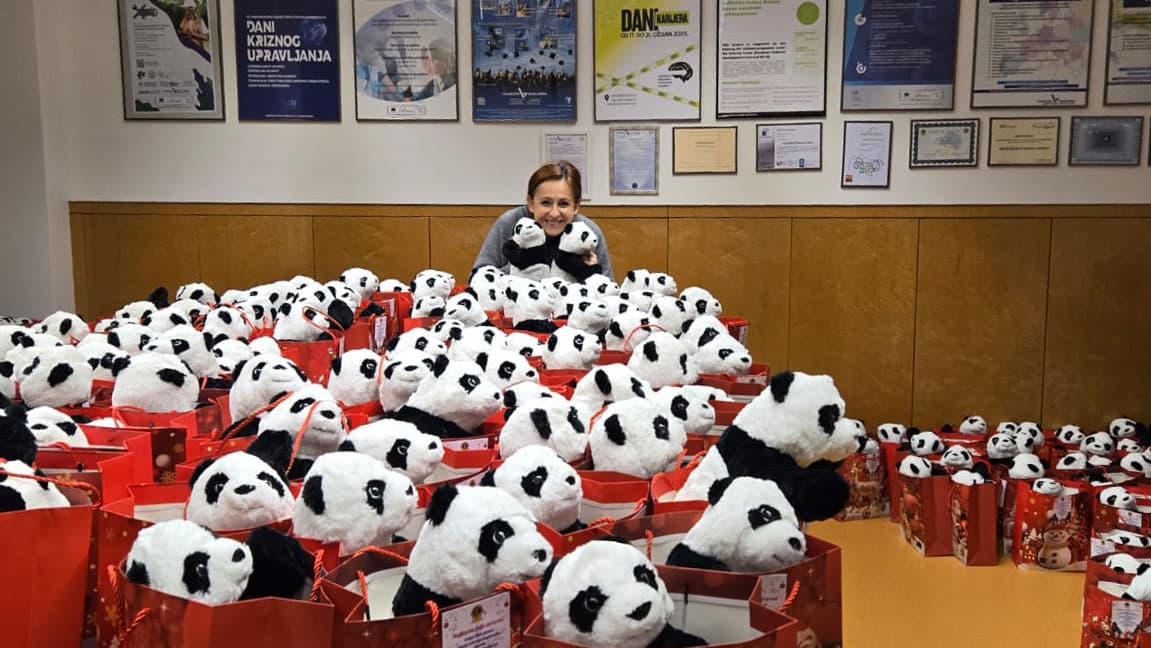 Prostorija ispunjena crvenim poklon vrećicama s plišanim pandama, postavljenim na stolove i pod. Na zidu su uokvirene diplome i plakati.