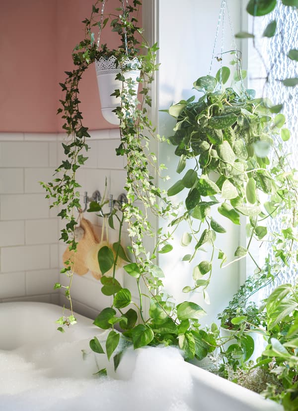 Provide a pinch of greenery to your bathroom by putting them in IKEA SKURAR hang planters. The off-white pots have a doily design.