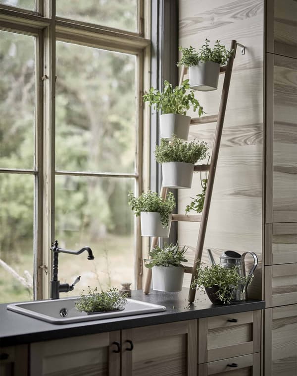 プラントスタンドを使って植物を飾る