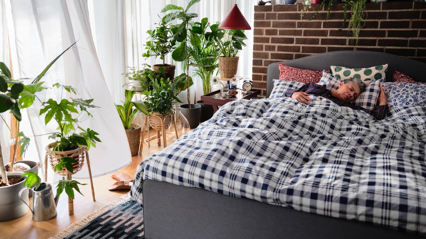 Quarto com plantas, um candeeiro vermelho, uma estrutura de cama acolchoada HAUGA em cinzento, uma capa de edredão em azul e branco e mulher a dormir.