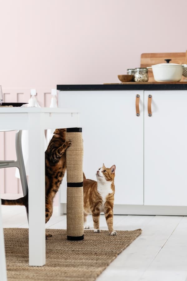 rascadoira para gatos natural IKEA