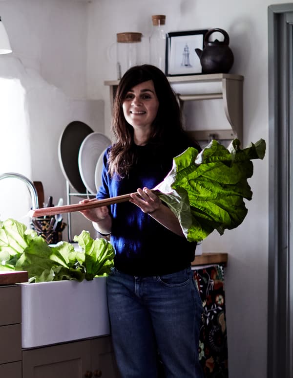 Rebecca cueille de la rhubarbe fraîche.
