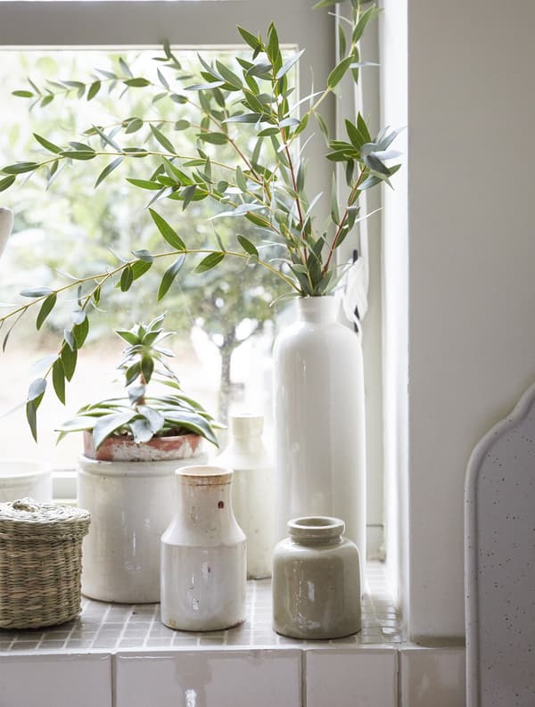 Rebord de fenêtre avec pots en céramique et plantes.