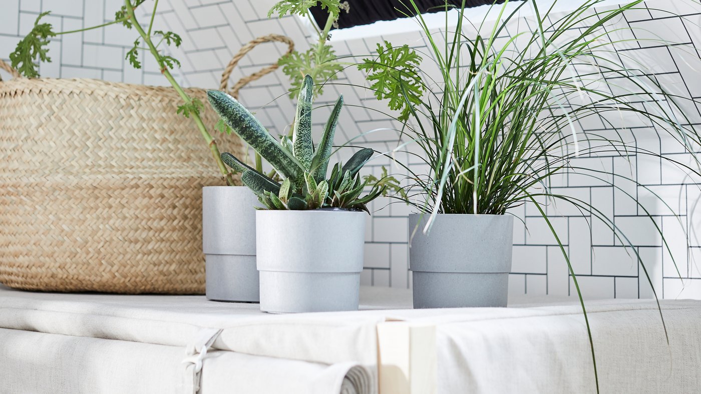 Pick the Right Plant Pot IKEA Singapore IKEA