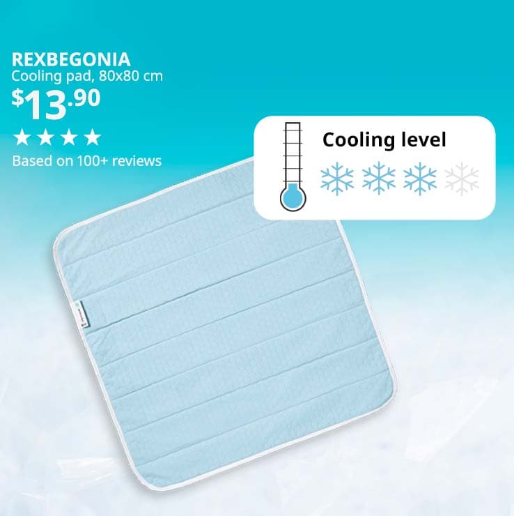 REXBEGONIA cooling pad. Price: $13.90.