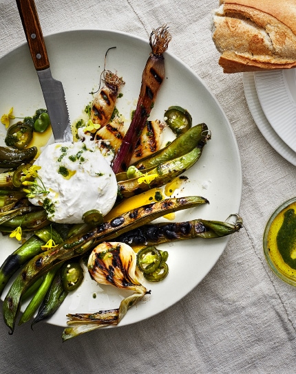 Ricetta delle verdure grigliate con burrata e olio di colza alle erbe aromatiche.