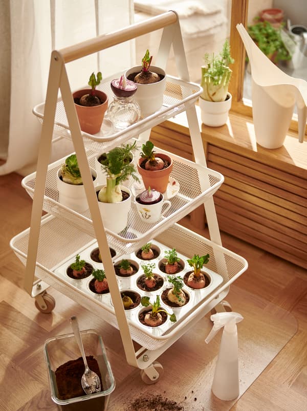 รถเข็น RISATORP/รีซาทอร์ป สีขาวตั้งอยู่ข้างหน้าต่างบนแผ่นกันรอยบนพื้น KOLON/คูลอน ในตะกร้ามีส่วนของผักที่นำมาปลูก