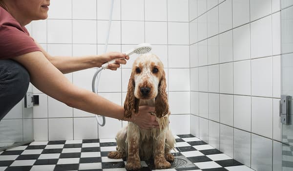 Risparmiare l’acqua durante la doccia
