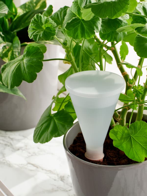 Rostlina v květináči se samozavlažovací vložkou SVÄMSKOG.