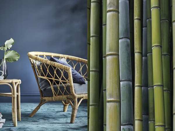 Rozdělená fotografie zobrazující bambusové stonky a hotové křeslo s rámem z tkaného bambusu.