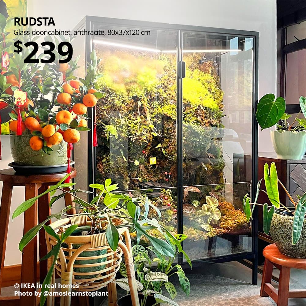 RUDSTA glass-door cabinet, anthracite, 80x37x120 cm. Price: $239