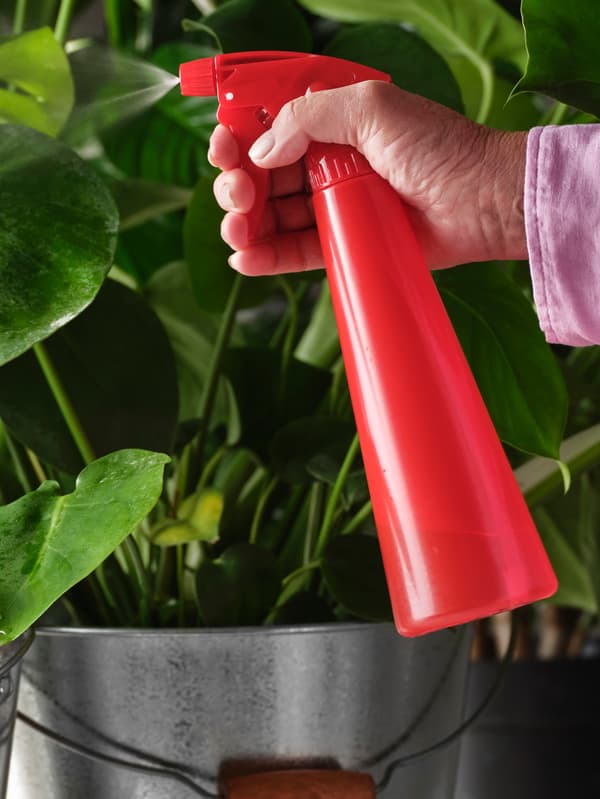 Ruka drží červený rozprašovač TOMAT.