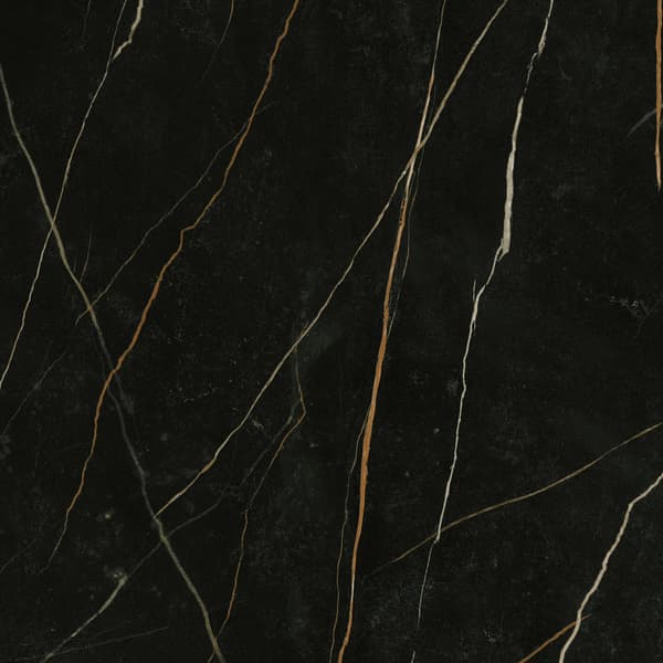 Sahara Noir