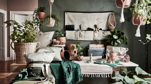 Sala con muchas plantas en sus maceteros, hechos de fibras naturales, madera y más materiale sostenibles. Hay telas y cojines que combinan con la pared verde.