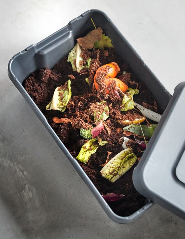 Saladreste in etwas Erde werden zu einem Kompostansatz, u. a. mit KLÄMTARE Box mit Deckel für drinnen und draußen in Dunkelgrau.