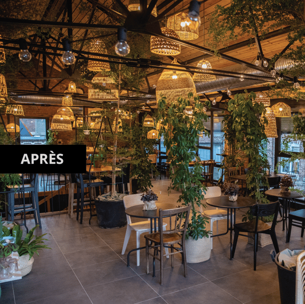 Salle de restaurant chaleureuse avec des plantes suspendues, des suspension en matériau naturel et plusieurs tables et chaises