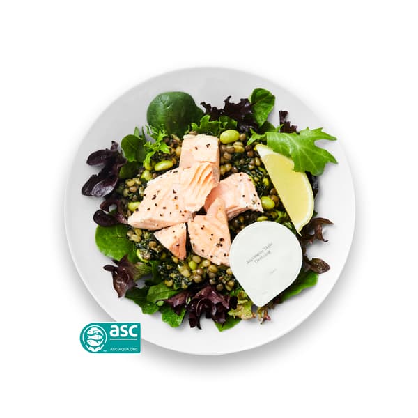 Salmon fillet salad
