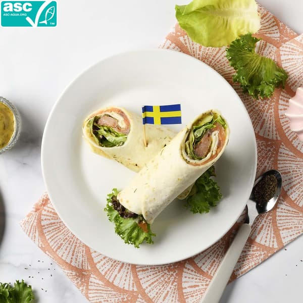 Salmon wrap