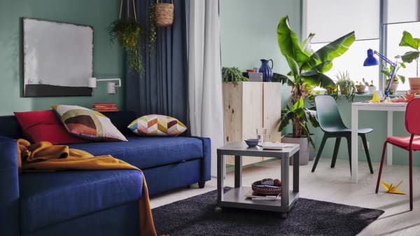salon z granatową kanapą pełen roślin doniczkowych