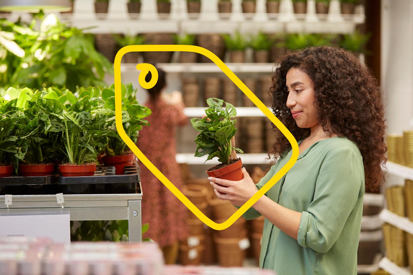 Save on new favourites at IKEA Family prices