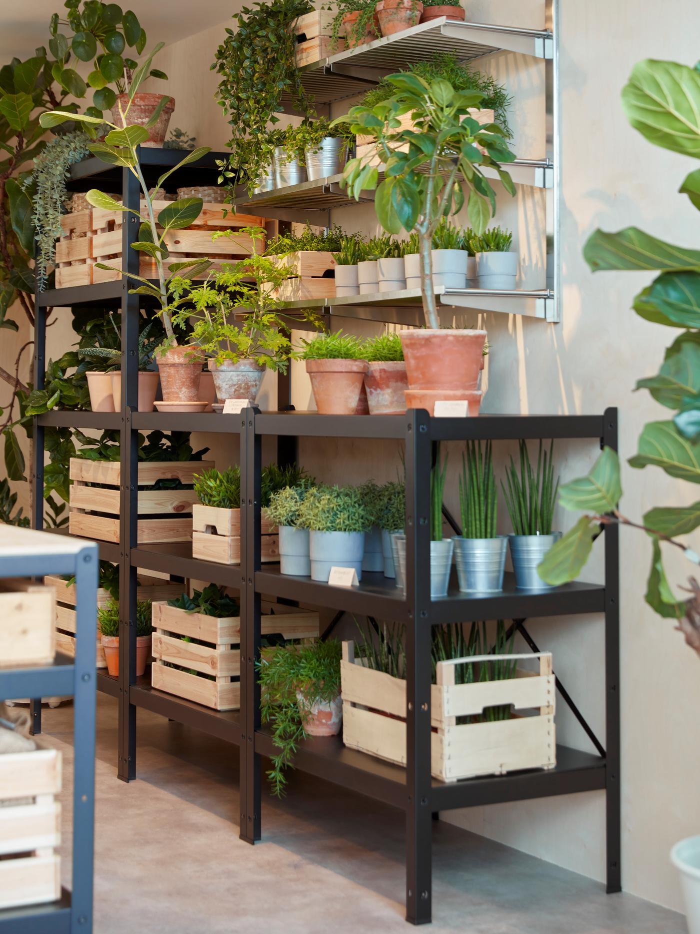 Schwarze robuste Regale und Tische mit hellen Tischplatten in einem Pflanzengeschäft.