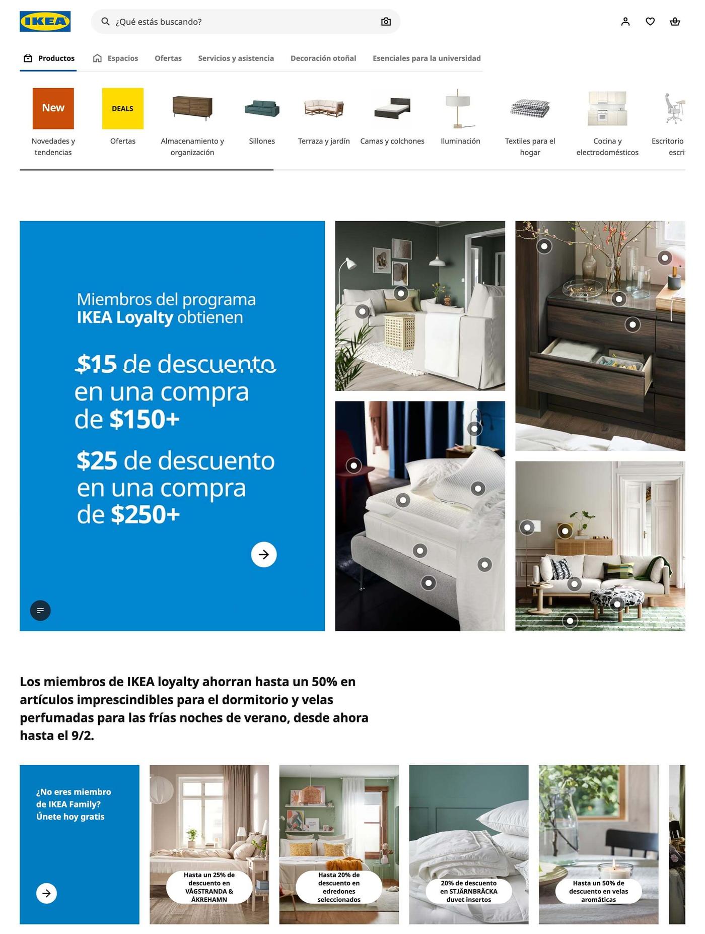 Screenshot of website