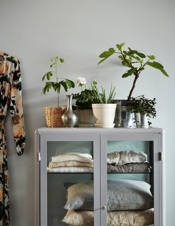 Seasonal flower arrangements in different pots and fresh-cut plants forming a beautiful arrangement on a display cabinet.