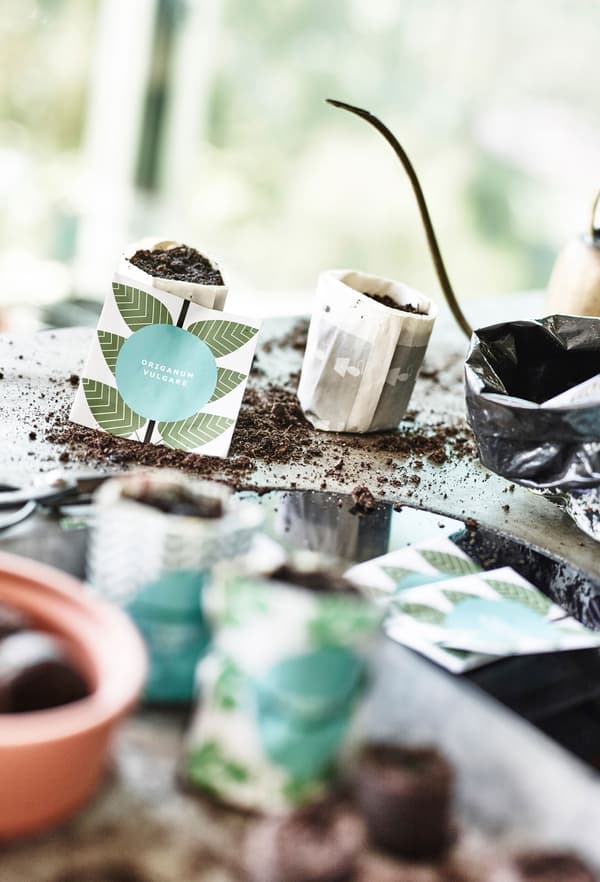 Seed containers made from biodegradable material can be planted straight into the ground 