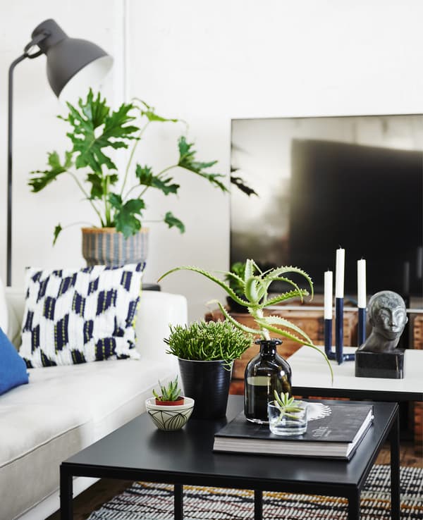 Séjour monochrome avec canapé blanc et plantes vertes sur une table basse.