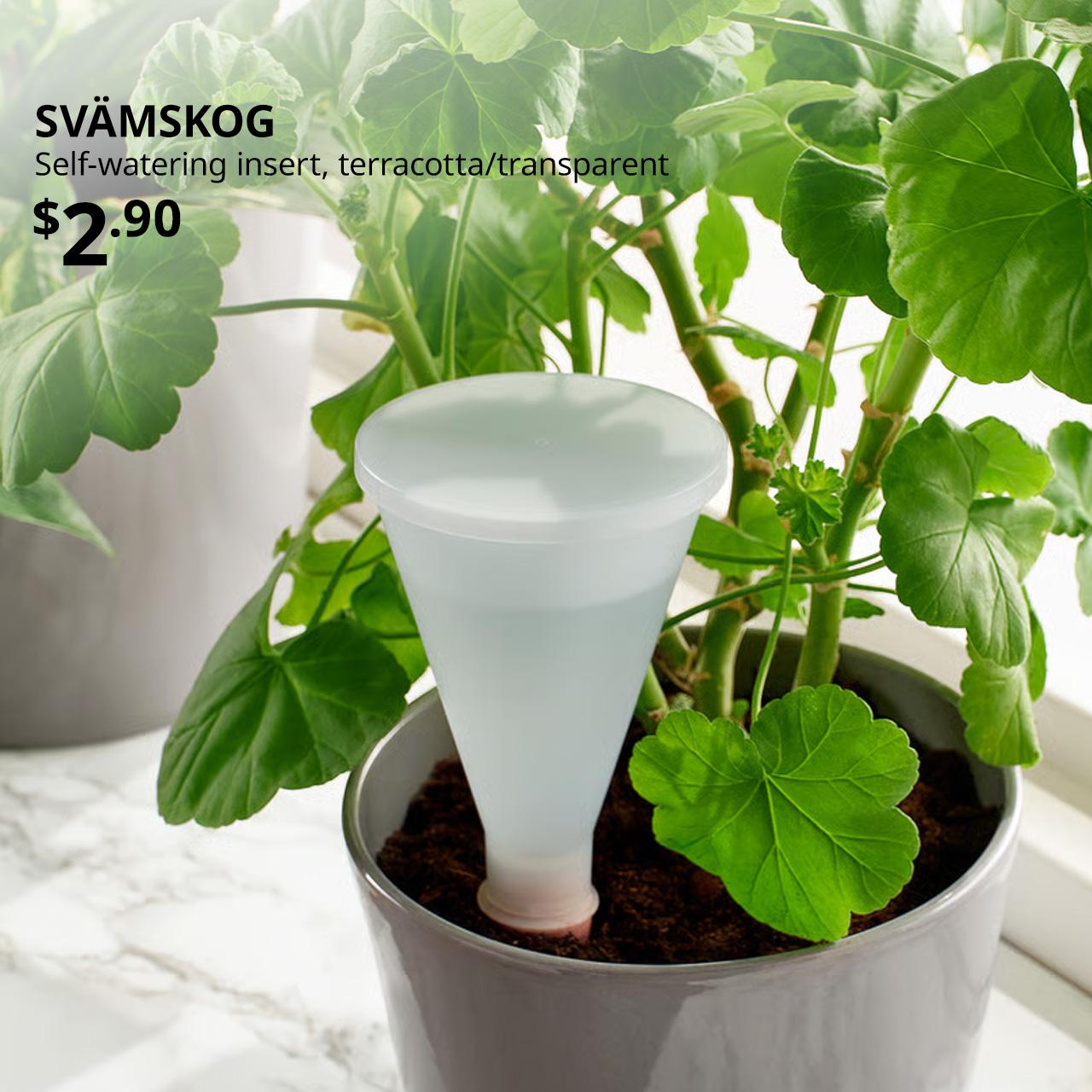 Self-watering insert, terracotta/transparent, 25 cl, $2.90