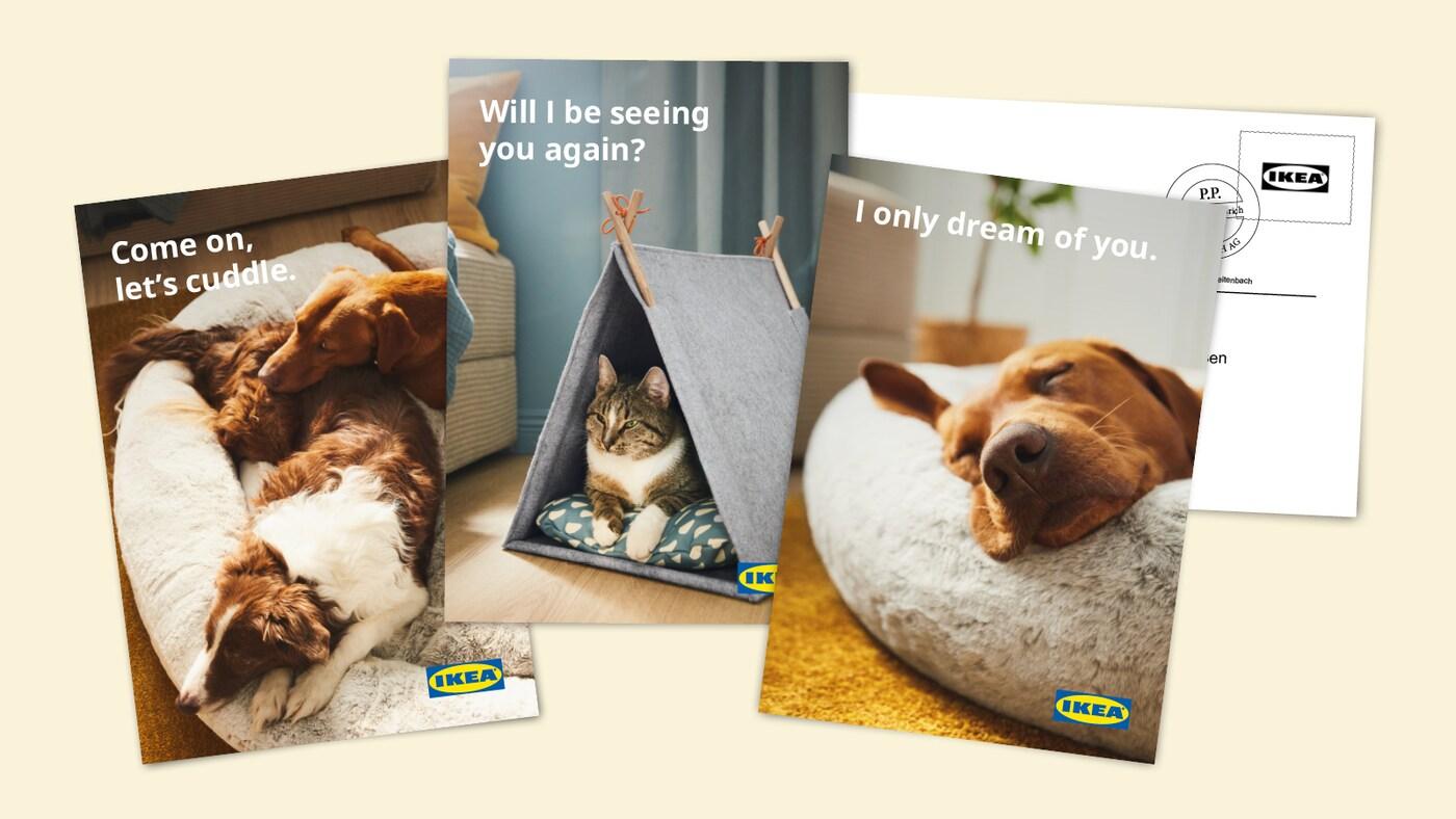 To the IKEA postcard designer