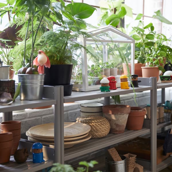 Serre IKEA SOCKER sur une tablette, avec de nombreuses plantes en pots.
