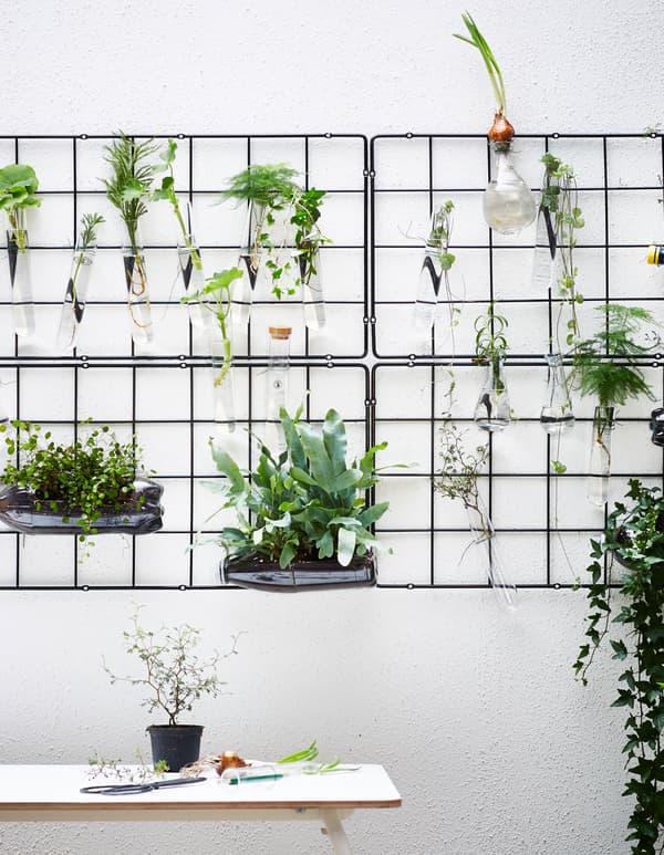 Several wire trellises are hung on a wall and display plants in small glass vessels