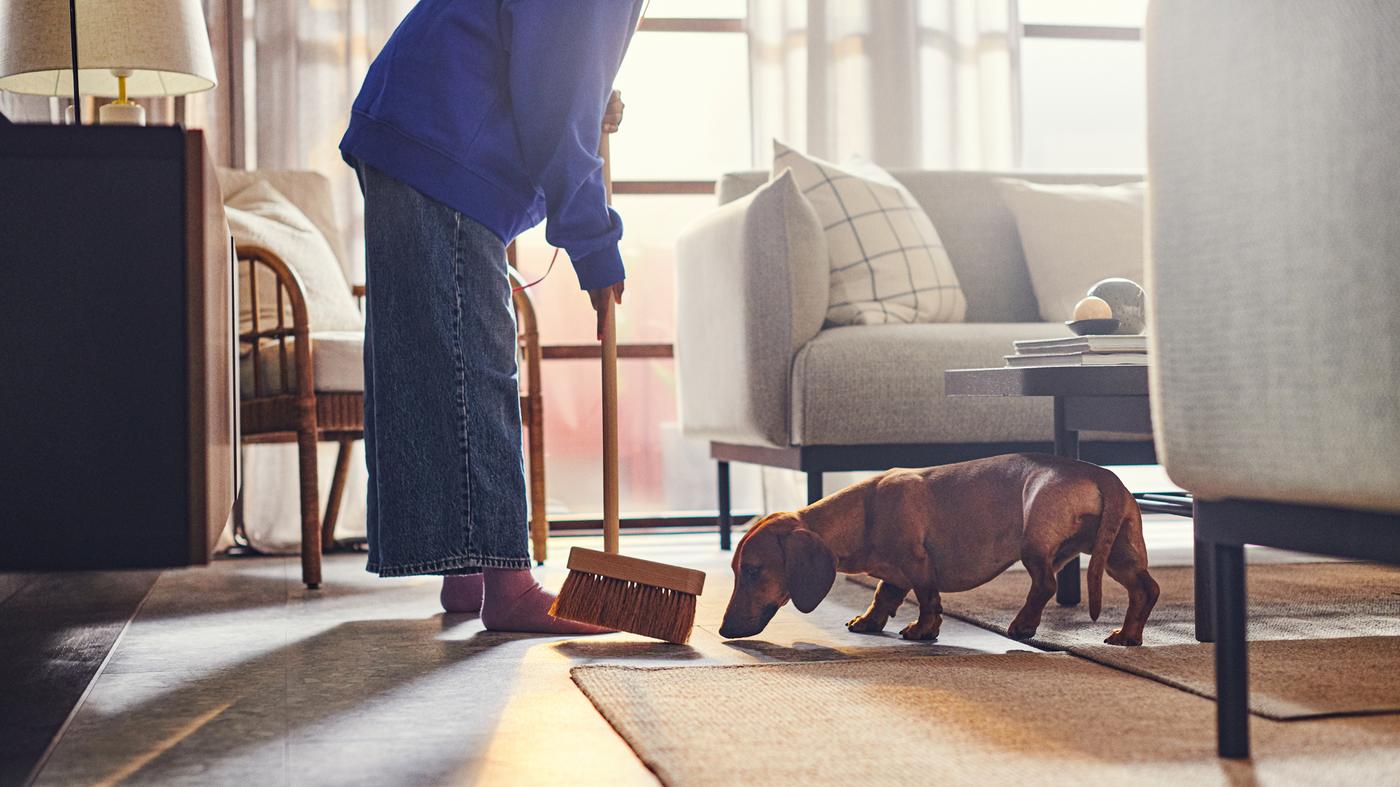 شخص بالغ يمسح الأرض بجانب كنبة ÄPPLARYD لونها رمادي فاتح وسجادة جوت VODSKOV. كلب يشم المكنسة.