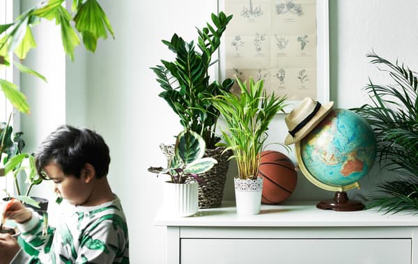 Show kids how fun it is to grow plants at home.