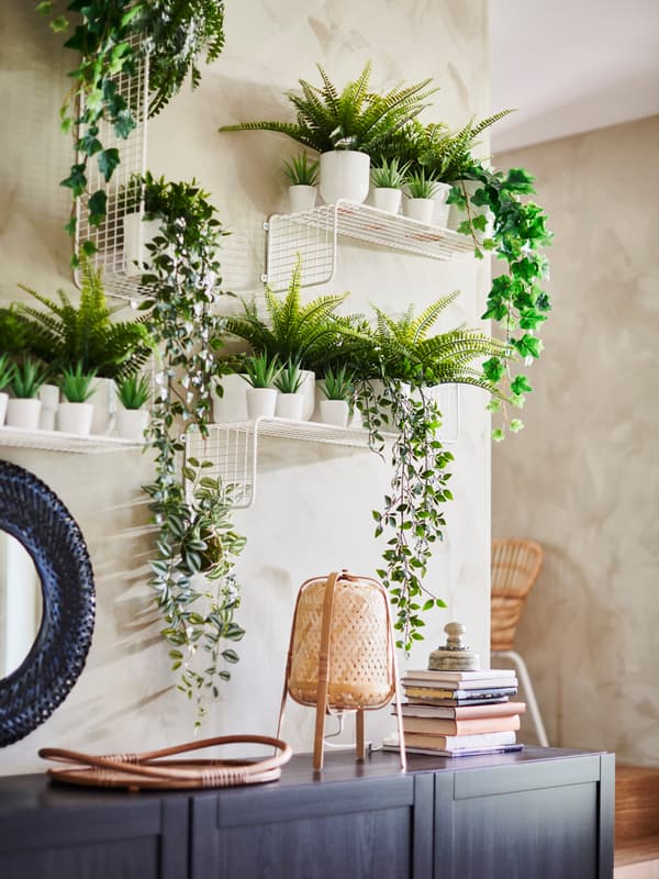 Simple ideas for arranging your plants