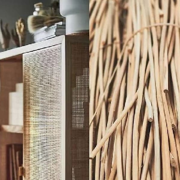 Skapis ar zariem sānos